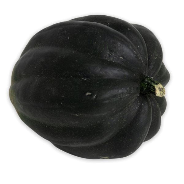 Acorn Squash