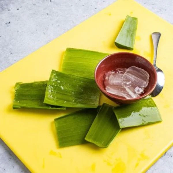 Aloe Vera Leaves - Image 3