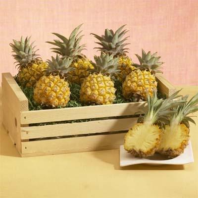 Baby Pineapple Crate - Image 2