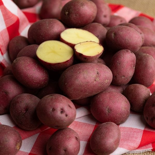 Baby Red Potatoes - Image 3