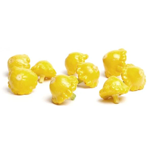 Baby Sunburst Squash