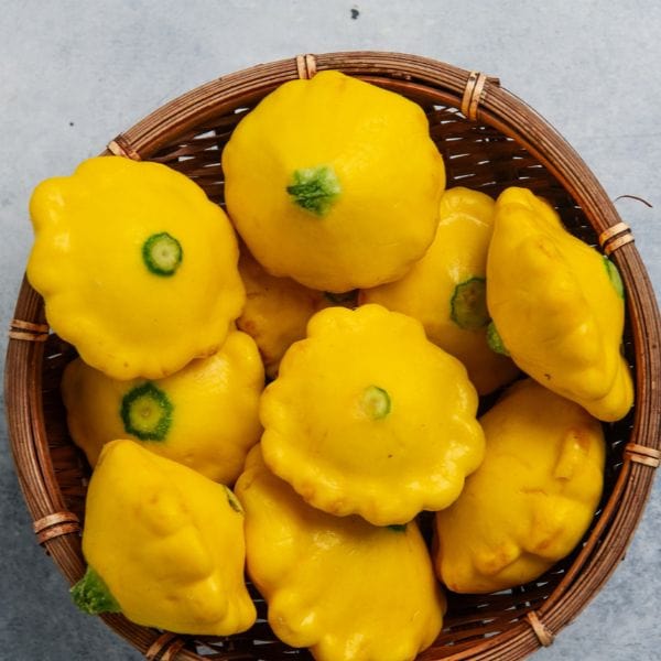 Baby Sunburst Squash - Image 2