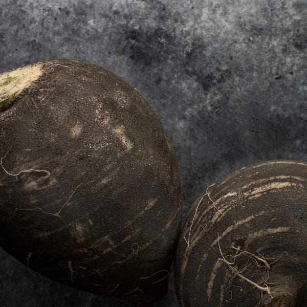Black Radish - Image 2