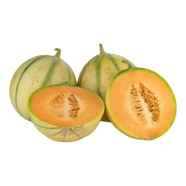 Charentais Melons - Image 2
