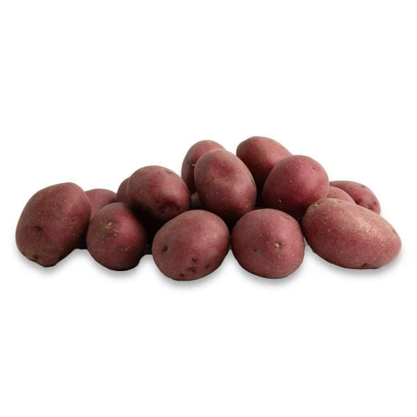 Dutch Red® Potatoes - Image 2