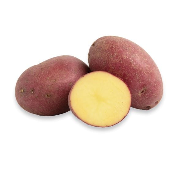 Dutch Red® Potatoes - Image 3