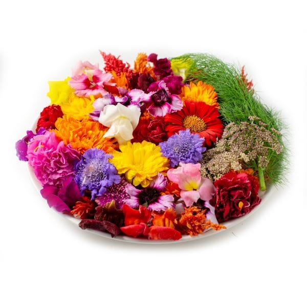 Edible Flowers