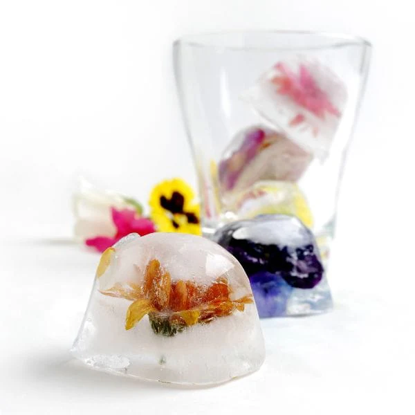Edible Flowers - Image 3