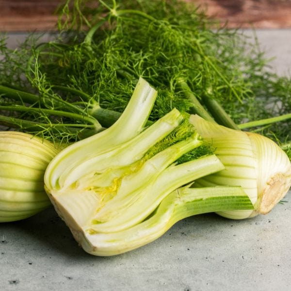 Fennel - Image 3