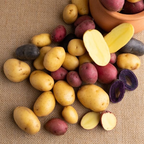 Gemstone® Potatoes - Image 4