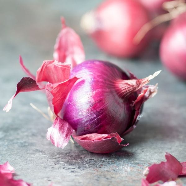 Holiday Boiler Onions - Image 3