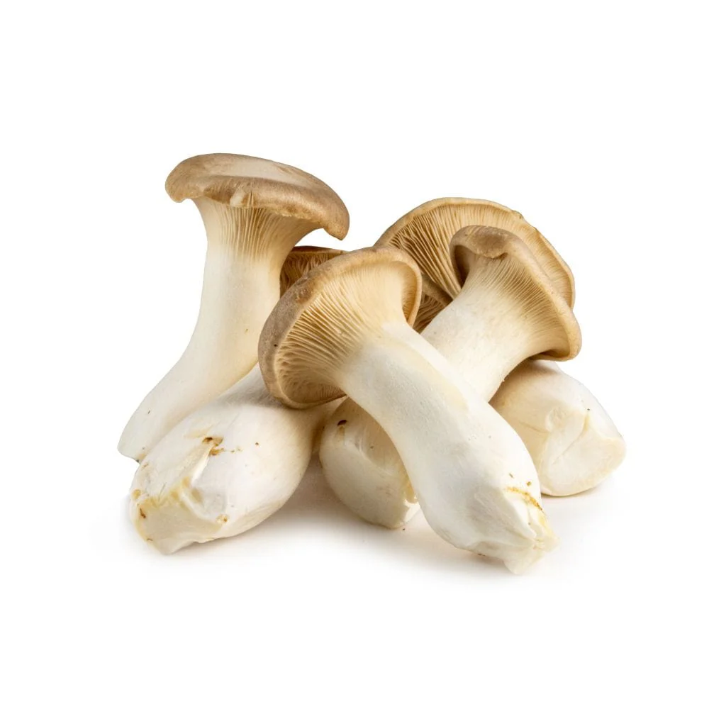 King Oyster Mushrooms - Image 2