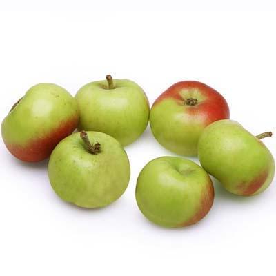 Lady Apples - Image 2