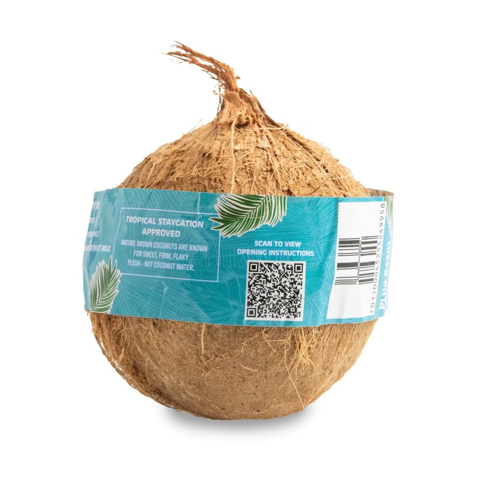 Organic Brown Coconuts - Image 4