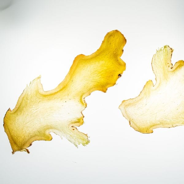 Ginger Root - Image 2