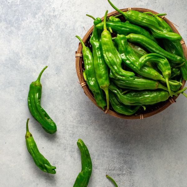 Shishito Peppers - Image 3