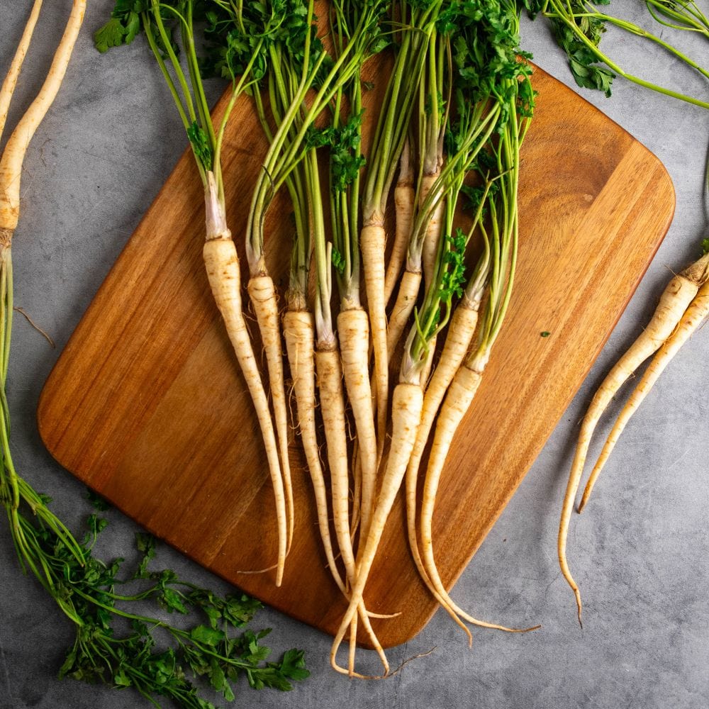 Parsley Root - Image 2