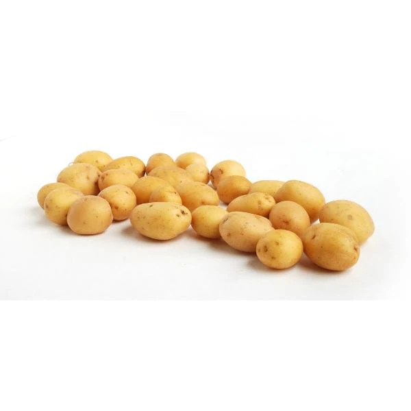 Peewee Dutch Yellow® Potatoes - Image 2