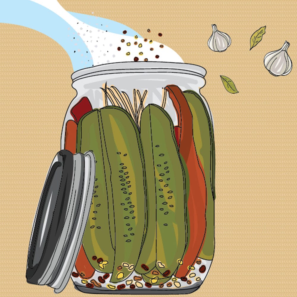 Pickle Kit - Image 5