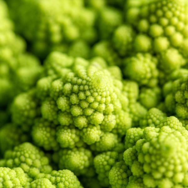 Romanesco - Image 2