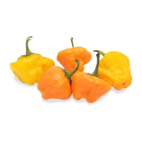 Scotch Bonnet Peppers - Image 2