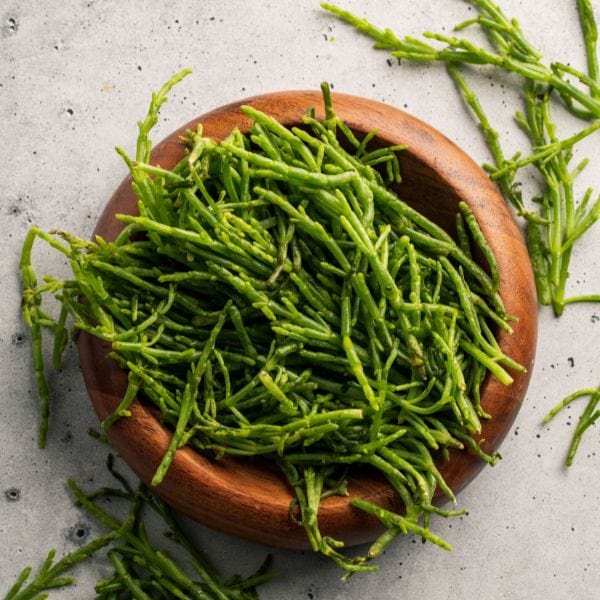Sea Beans (Salicornia) - Image 3