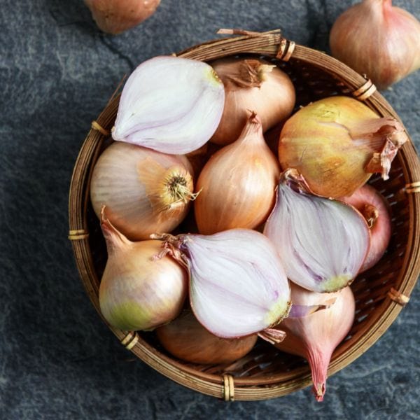 Shallots - Image 4