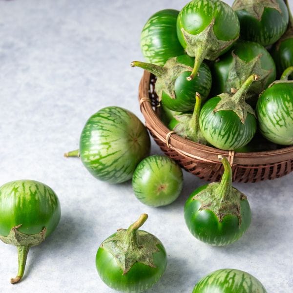 Thai Eggplant - Image 3
