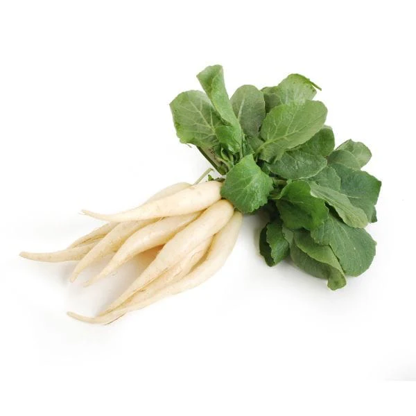 White Icicle Radish - Image 2
