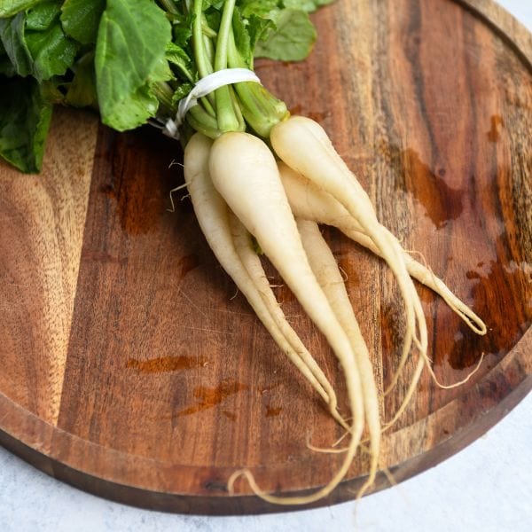 White Icicle Radish - Image 3